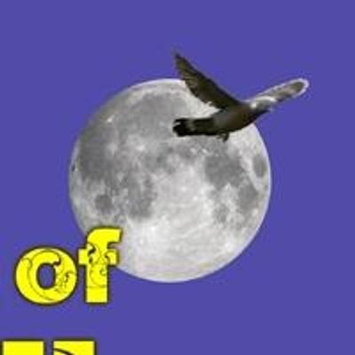 BWW Interviews: BIRDS OF PARADISE to Premiere at Being Revived