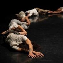 Dancemakers 40th Anniversary Season Presents AROUND by Michael Trent