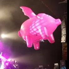 THE PINK FLOYD EXPERIENCE to Play Aurora's RiverEdge Park, 8/17