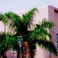 Spanish Lyric Theatre Partners with Cuban Restaurant & Ballroom