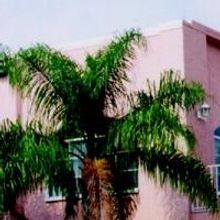 Spanish Lyric Theatre Partners with Cuban Restaurant & Ballroom