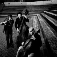 PROJECT Trio Performs at Caramoor Tonight