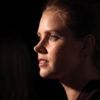 VIDEO: Amy Adams Wows Karaoke Crowd with WICKED's 'Defying Gravity' Video