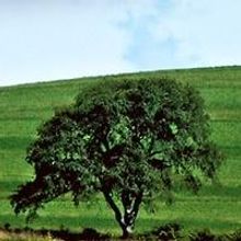 Catskill Mountain Foundation Launches Orpheum Dance Festival