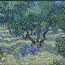 Adam Schoenberg's PICTURE STUDIES Makes World Premiere with Kansas City Symphony Toni