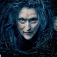 From The Red Carpet: Ellis, Waddingham, Xavier and More From The INTO THE WOODS…