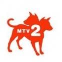 MTV2 Premieres New Series NUMBNUTS Tonight, 9/28