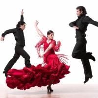 Brooklyn Center for the Performing Arts Presents Flamenco Vivo Tonight
