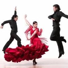Brooklyn Center for the Performing Arts to Present Flamenco Vivo, 11/14