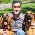 Photo Flash: A CHRISTMAS STORY Will Feature Rescued Bloodhounds Pete and Lily, Trained by William Berloni