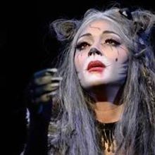 Broadway's Next Glamour Cat? Meet Nicole Scherzinger!