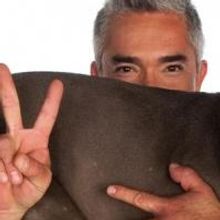 Cesar Millan Speaks at Gallo Center Tonight