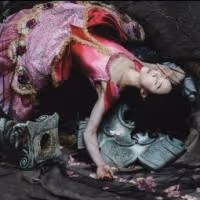 American Ballet Theatre's THE SLEEPING BEAUTY Premieres at the Segerstrom Tonight
