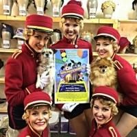Photo Flash: Saturday Intermission Pics, 7/12- NEWSIES Prep for Sleep Out, BULLETS…