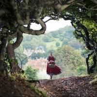 TV: Go INTO THE WOODS Again! Watch the New Teaser Trailer in High-Definition! Video