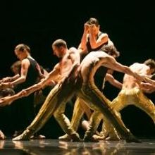 New York City Center's 2014 Fall for Dance Festival Opens 9/12-13 at the Delacorte Th
