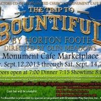 BWW Reviews: Strong, Understated Performances at Core of A TRIP TO BOUNTIFUL