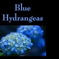 BLUE HYDRANGEAS to Soon Be Released as and Audiobook on Audible, Amazon and iTunes