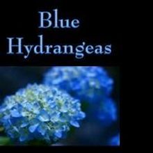 BLUE HYDRANGEAS to Soon Be Released as and Audiobook on Audible, Amazon and iTunes