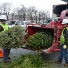 Photo Flash: Record-Breaking Number of Christmas Trees Recycled at MulchFest 2014