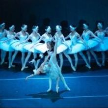 The State Ballet Theatre of Russia Brings SWAN LAKE to Birmingham This Weekend