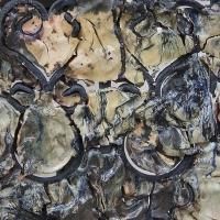 Angel Otero's GATES OF HORN AND IVORY to Open 9/12 at Lehmann Maupin