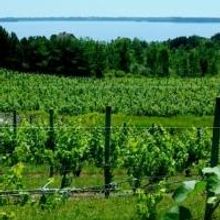 Two New Wineries Open in Traverse City Area