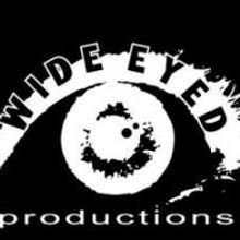 GORDY CRASHES, REBORNING and More to Continue Wide Eyed's WINKS Series, Spring 2013