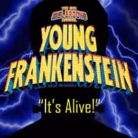 DOMA Theatre Company's YOUNG FRANKENSTEIN Runs Now thru 11/16
