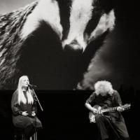 Ellis and May To Release 'Nothing Has Really Changed'