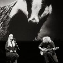 Ellis and May To Release 'Nothing Has Really Changed'