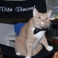 Photo Flash: Backstage with the BREAKFAST AT TIFFANY'S Kitties!