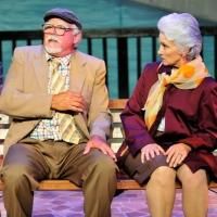 BWW Reviews: THE LAST ROMANCE Captures A Bittersweet Love Story Blossoming On A Dog…