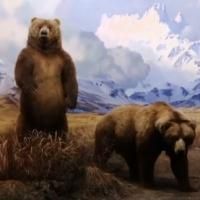 Tom Brokaw Hosts TREASURES OF NY: Museum of Natural History on THIRTEEN Tonight
