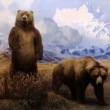 Tom Brokaw Hosts TREASURES OF NY: Museum of Natural History on THIRTEEN Tonight