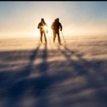 National Geographic Live to Present UNTAMED ANTARCTICA at Mesa Arts Center, 2/4