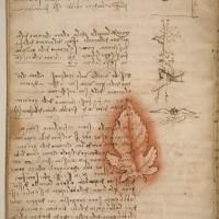 Rare Leonardo da Vinci Masterpiece on View at National Air and Space Museum, Now…