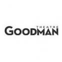 PEDRO PARAMO and More Set for Goodman Theatre's 2013 Latino Theatre Festival
