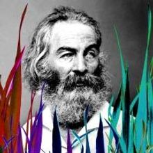 BWW Reviews: 'Song of Myself: The WHITMAN Project' Graces the Capital Fringe