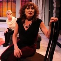 BWW REVIEW: THE TALE OF THE ALLERGIST'S WIFE Suffers from Congestion at Lyric Stage…