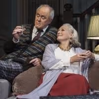BWW Reviews: A DELICATE BALANCE Stirs, but Doesn't Shake