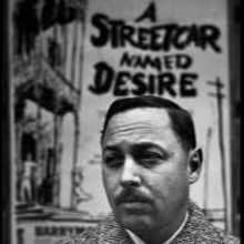 A STREETCAR NAMED DESIRE to Open at 
The City Theatre, 7/25