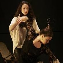 BWW Reviews: Feelings & Flamenco's Feminine Mystique