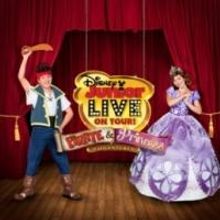 Disney's PIRATE AND PRINCESS ADVENTURE Launches 90 City Tour Today