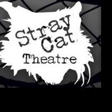 Stray Cat Theatre Announces 2014-2015 Season