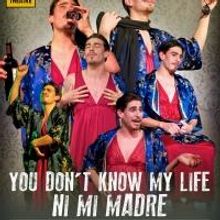 Barrow Street Theatre to Present YOU DON'T KNOW MY LIFE, NI MI MADRE Today
