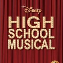 Terrace Plaza Playhouse Stages HIGH SCHOOL MUSICAL, Now thru 9/20