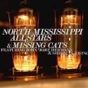 North Mississippi Allstars and Missing Cats to Play the Fox Theatre, 9/14