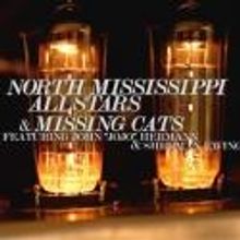 North Mississippi Allstars and Missing Cats to Play the Fox Theatre, 9/14
