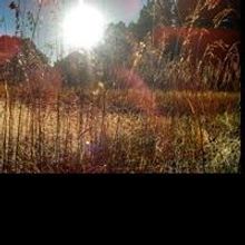 New Book Available; Or, The Crows of Wicker Park Now Available by Political Theorist 